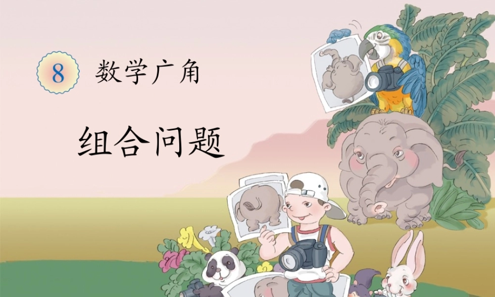 新人教版小学二年级数学上第八单元组合问题