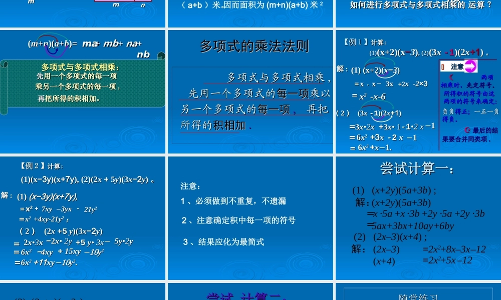 多项式乘以多项式