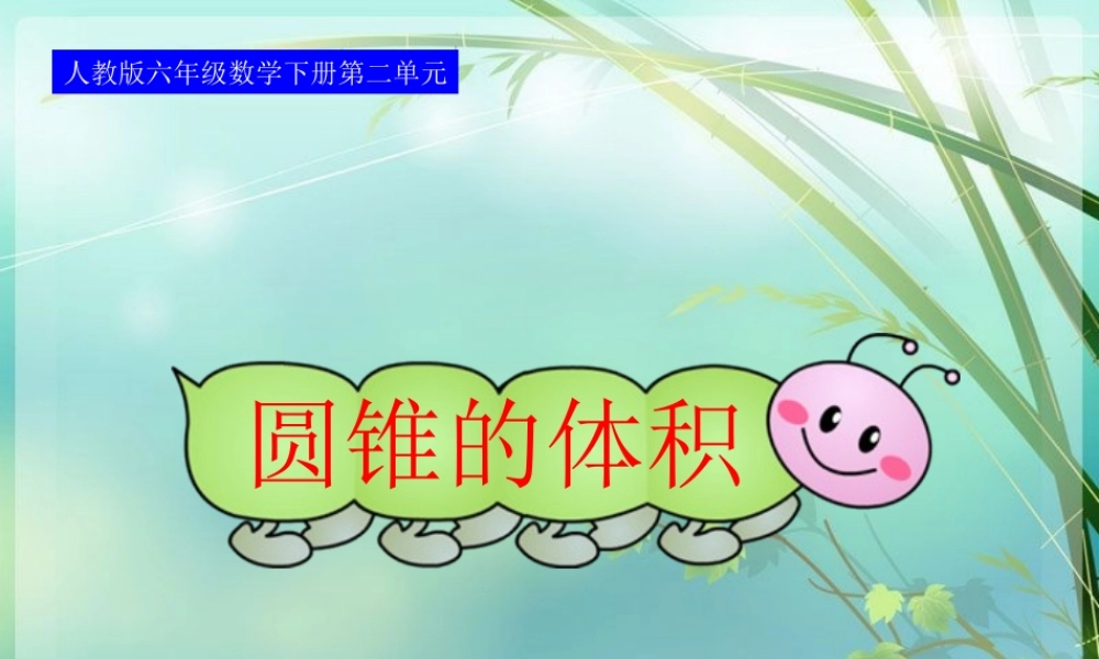 人教版六年级数学下册第二单元第七课时_圆锥的体积2