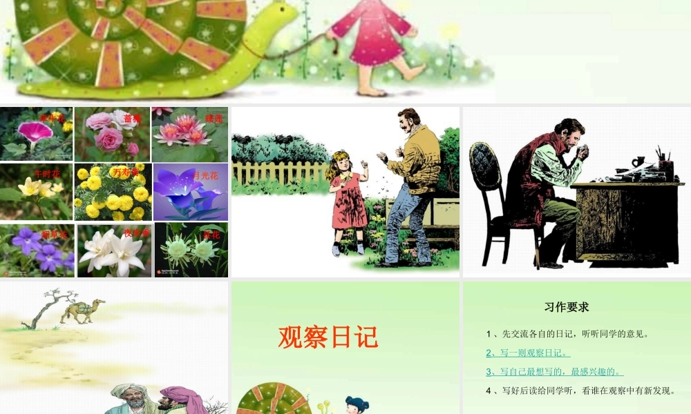 观察日记——第四单元习作指导