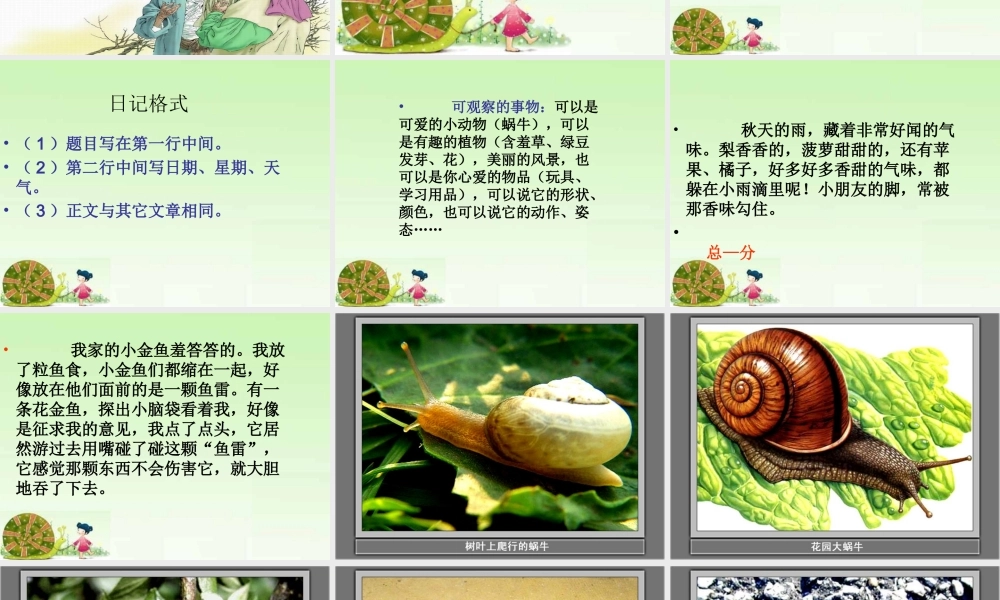 观察日记——第四单元习作指导