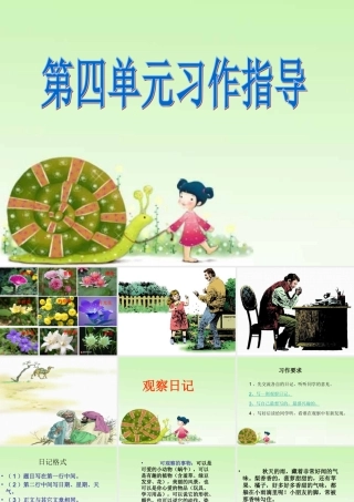 观察日记——第四单元习作指导