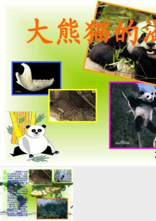 大熊猫的渴望
