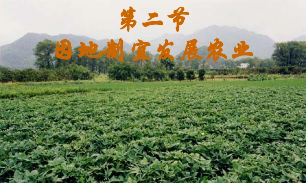 因地制宜发展农业