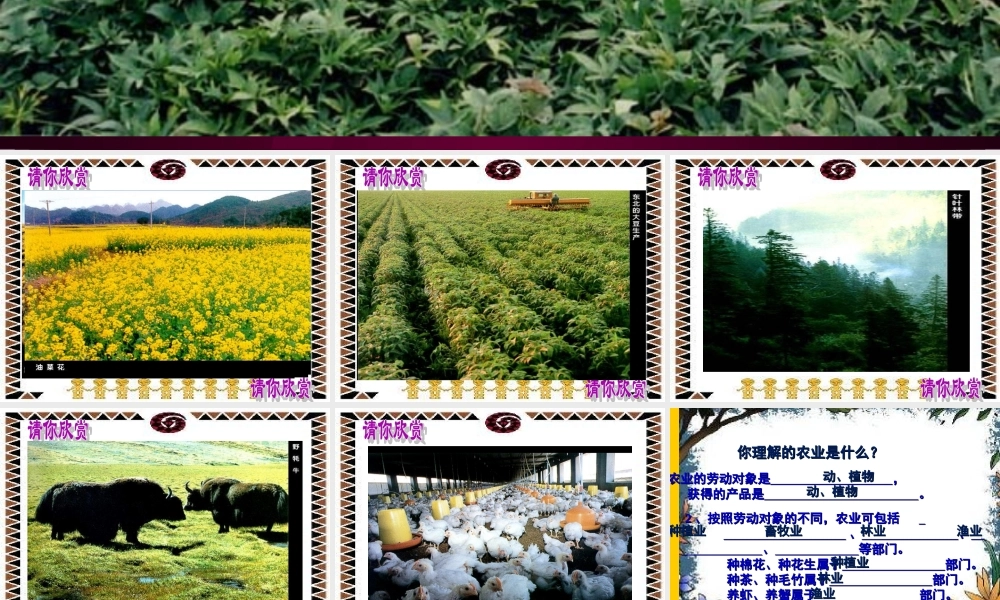 因地制宜发展农业