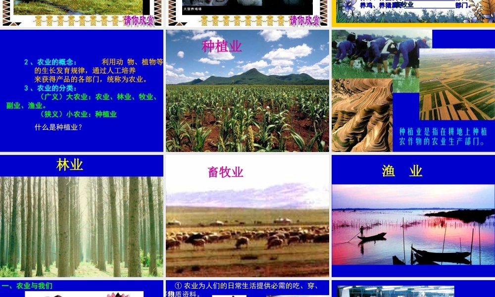 因地制宜发展农业