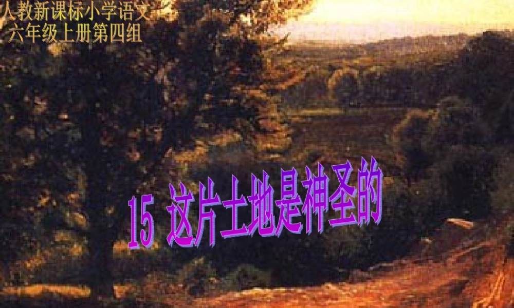 这片土地是神圣的 (5)