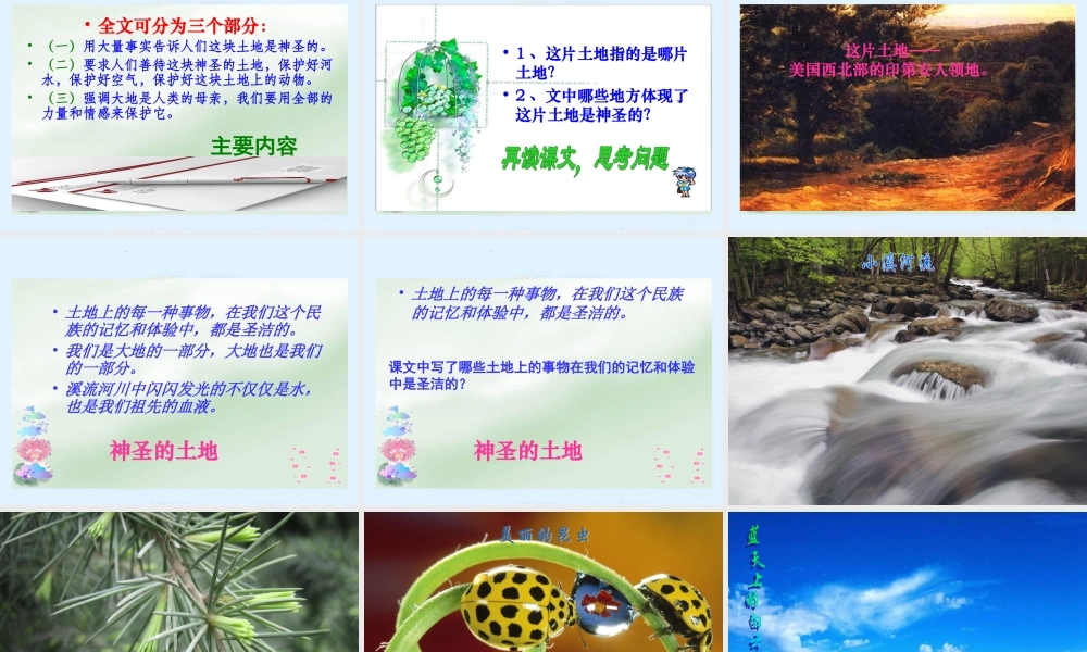 这片土地是神圣的 (5)