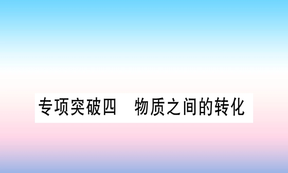 (甘肃专用)中考化学 专题突破四 物质之间的转换(提分精练)课件
