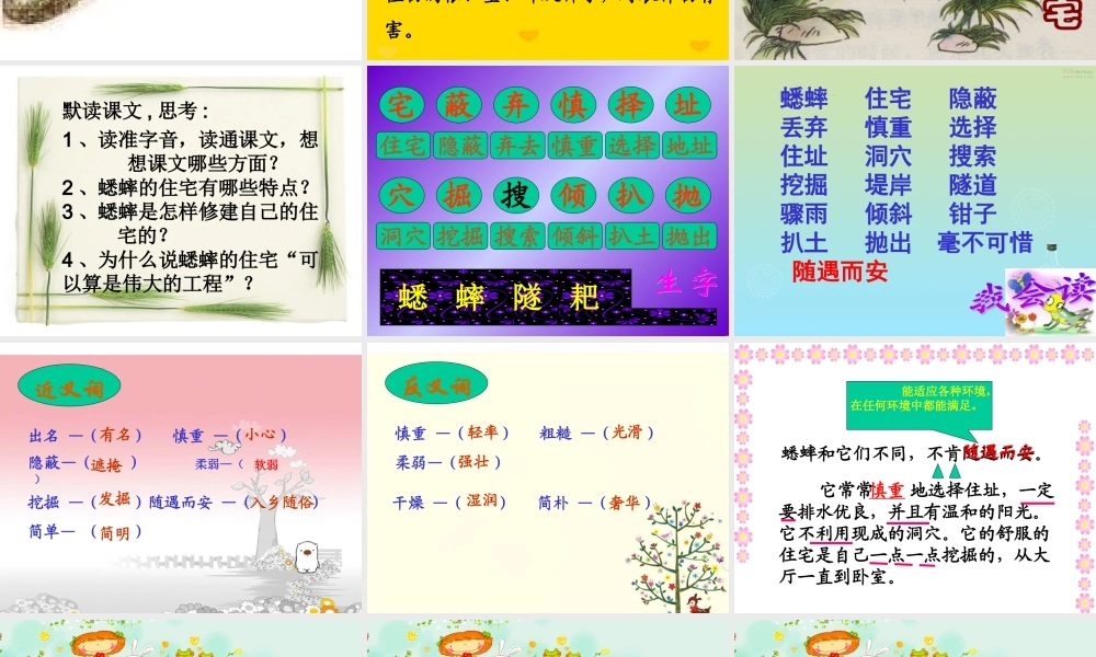 蟋蟀的住宅li
