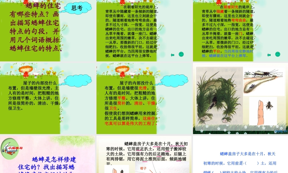 蟋蟀的住宅li