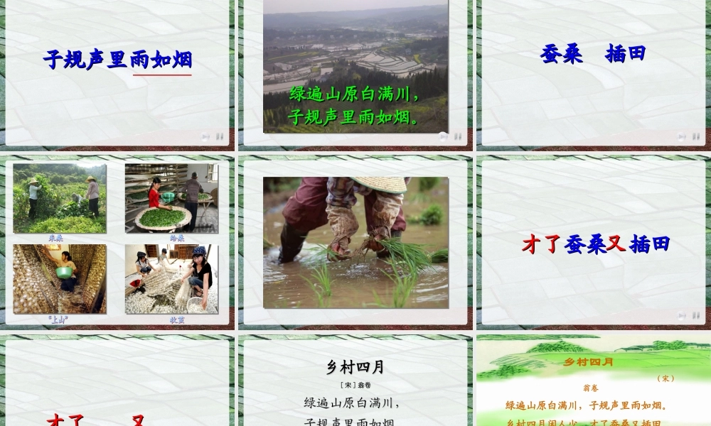 古诗《乡村四月》课件