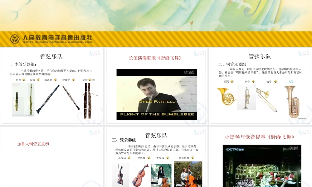 青少年管弦乐队指南(课件）