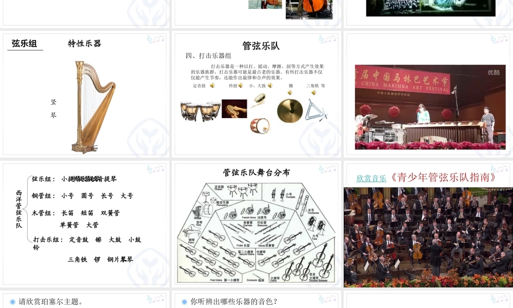 青少年管弦乐队指南(课件）