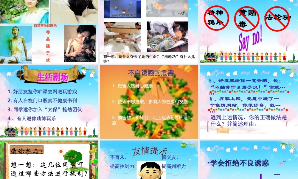 七年级政治下册 抵制不良诱惑预防违法犯罪课件 鲁教版 课件