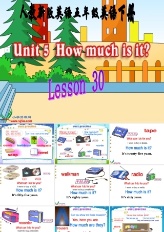人教新版小学英语五年级下册课件Lesson30