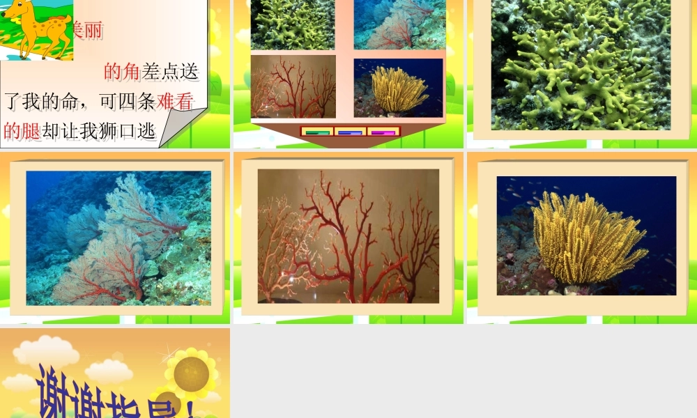 《狮子和鹿》PPT