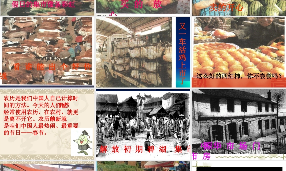 三年级品德与社会课件(1)