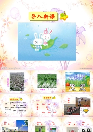 小白兔和小灰兔 (2)