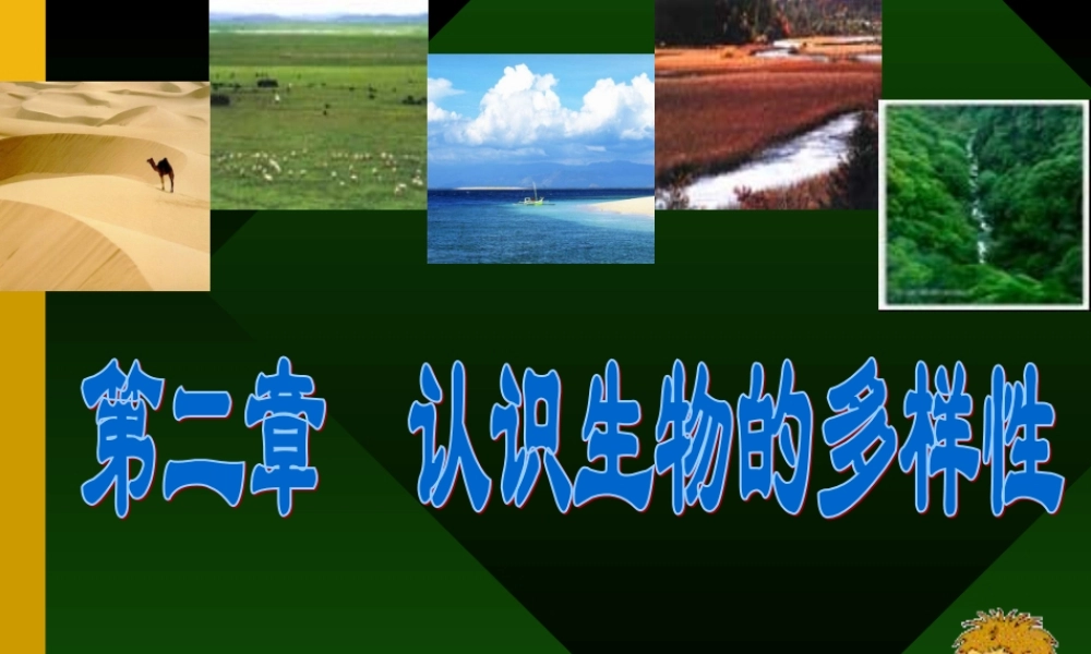 八年级上复习资料