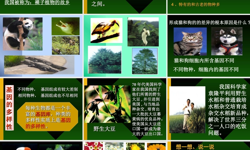 八年级上复习资料