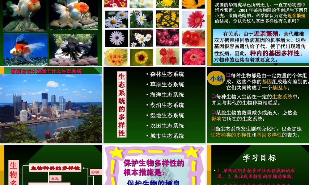 八年级上复习资料