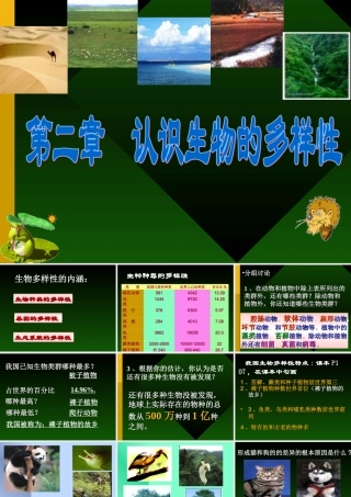 八年级上复习资料