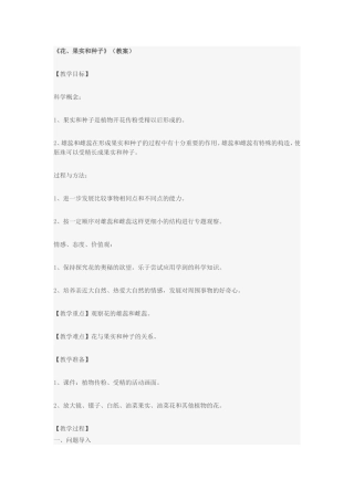 话、果实和种子