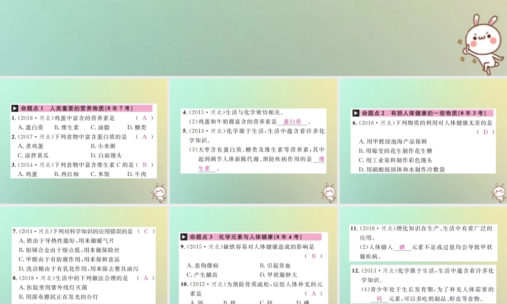 (河北专版)中考化学复习 主题四 化学与社会发展 第15讲 化学与生活课件