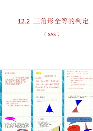 三角形全等的判定（第课时）