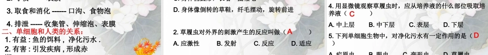 人教版七上第二单元第二章第四节+单细胞生物（共24张PPT）