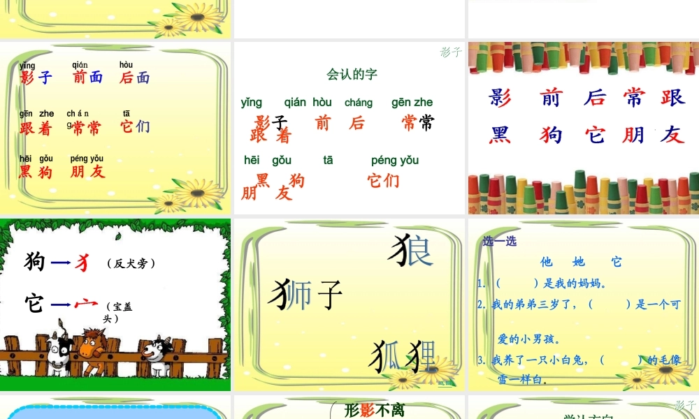 《影子》课件3 (3)