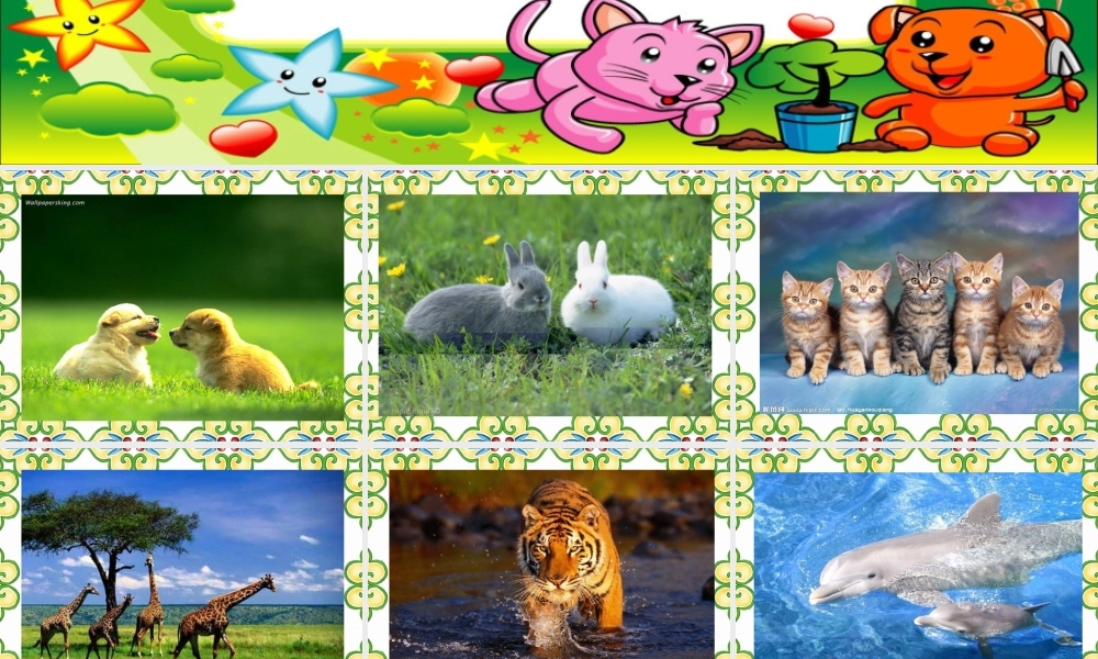 卡罗尔和她的小猫公开课定稿