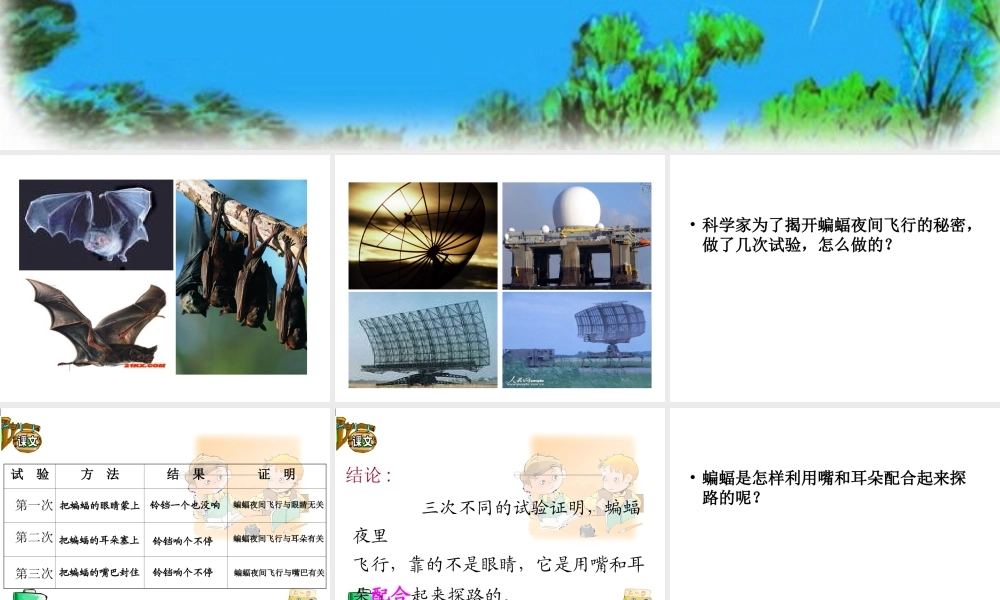 蝙蝠和雷达_演示文稿_(2)