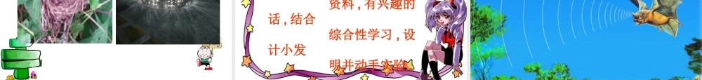 蝙蝠和雷达_演示文稿_(2)