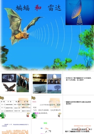 蝙蝠和雷达_演示文稿_(2)