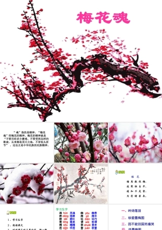 教学课件《梅花魂》