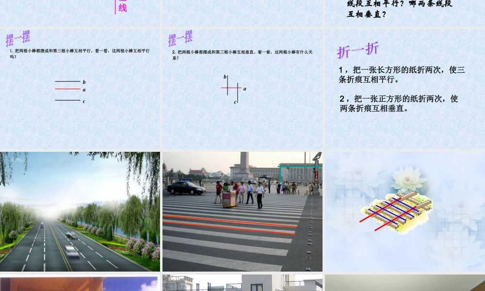 平行于垂直五小张新燕