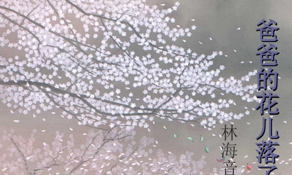 爸爸的花儿落了-课件