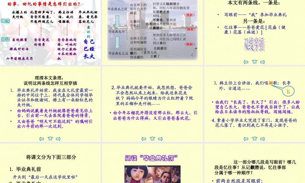 爸爸的花儿落了-课件