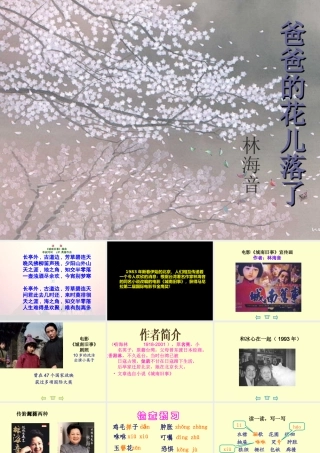 爸爸的花儿落了-课件