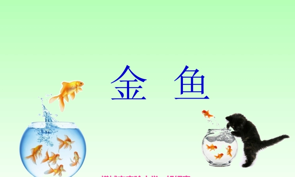 小学三年级科学上册金鱼胡绍富