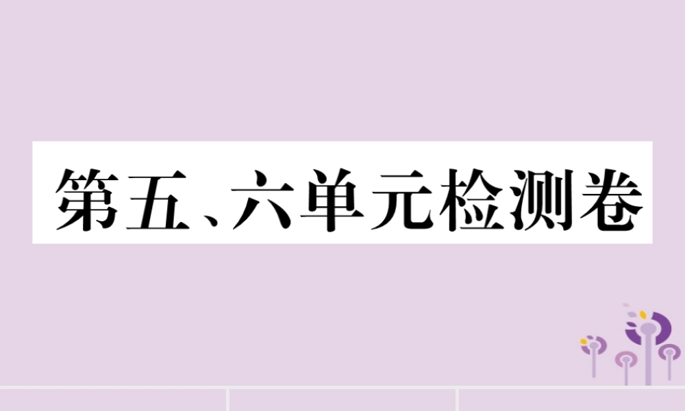(玉林专版)八年级历史下册 第五、六单元检测卷习题课件 新人教版 课件