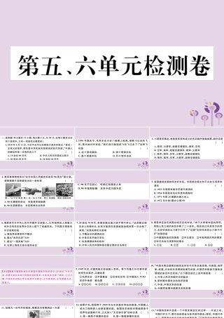 (玉林专版)八年级历史下册 第五、六单元检测卷习题课件 新人教版 课件