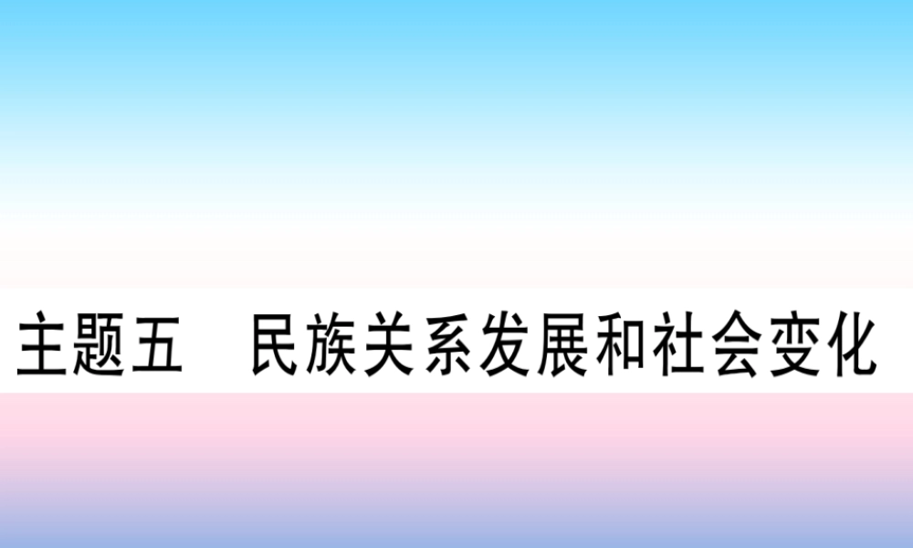 (甘肃专用)中考历史总复习 第一篇 考点系统复习 板块一 中国古代史 主题五 民族关系发展和社会变化(精练)课件