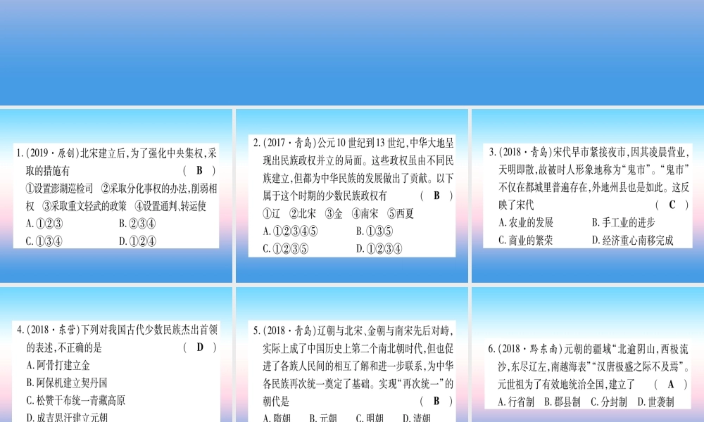 (甘肃专用)中考历史总复习 第一篇 考点系统复习 板块一 中国古代史 主题五 民族关系发展和社会变化(精练)课件