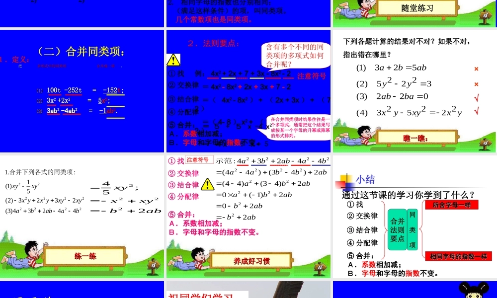 整式加减—合并同类项
