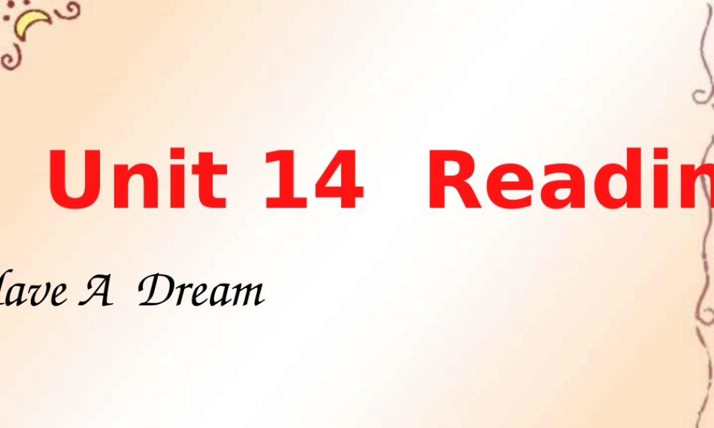 unit14(fast reading) 湖北省高二英语下学期Unit14 Freedom fighters全单元课件 人教版 湖北省高二英语下学期Unit14 Freedom fighters全单元课件 人教版