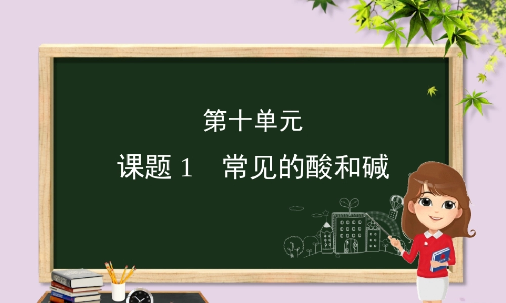 (河北专版)九年级化学 重点题目精讲 第十单元 酸和碱课件 (新版)新人教版 课件