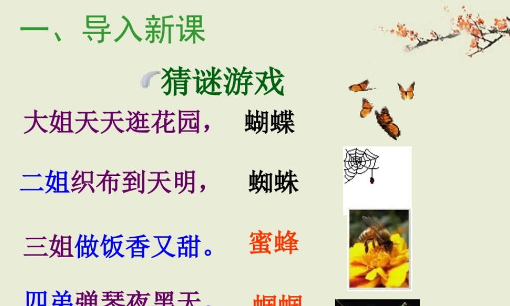 绿色蝈蝈 (3)